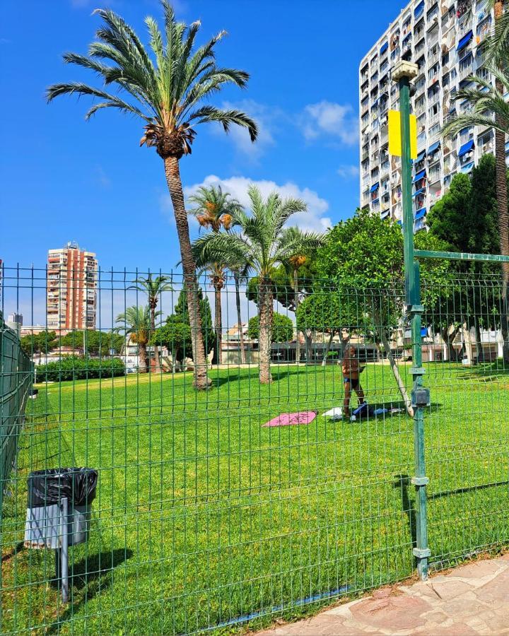 Comfortable Studio With Sea View Daire Benidorm Dış mekan fotoğraf